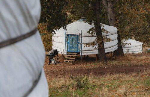Glamping yurt at a nature retreat near Sequoia - Foto 2