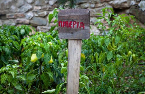 Montanema Handmade Village - Photo 115