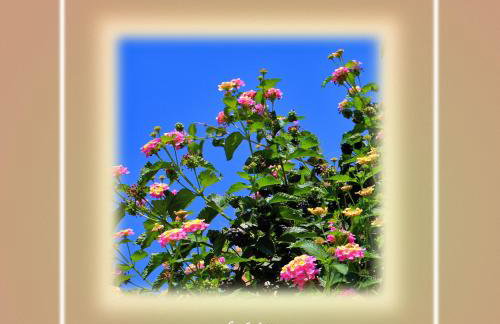 Ikaria Utopia - Cusco Studios - Photo 57