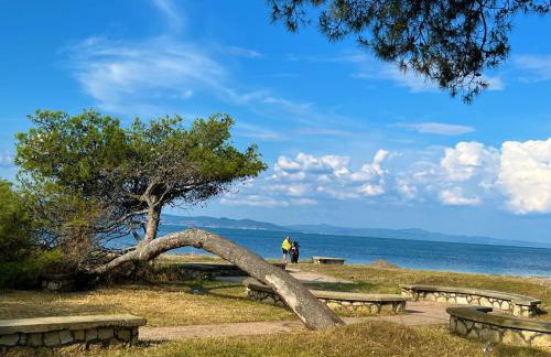 Haus Niko Apartments and Suites - Foto 13