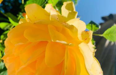 Vrijstaand vakantiehuis La Piccigliana - 6 personen - Foto 29