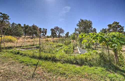 Idyllic Dolores Cabin with Fire Pit and Lake Views! - Foto 23