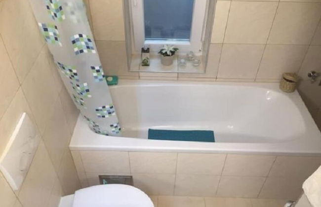 Apartment Palm Home - Photo 14