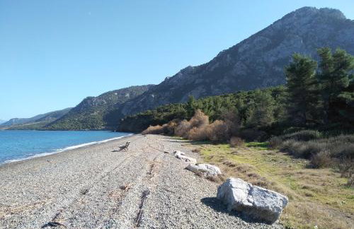 Palm tree house by the beach - Foto 52