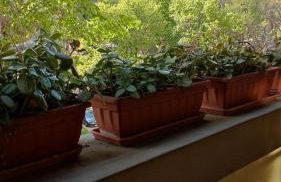 la casa di amy - loft con garage privato - Photo 26