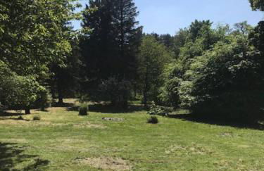 Traditional Family Home in Royal Deeside - Photo 10