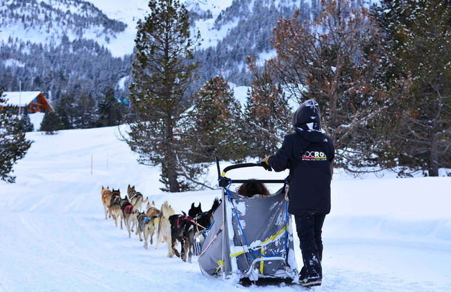 Giro in slitta trainata da cani a Grandvalira - Foto 2