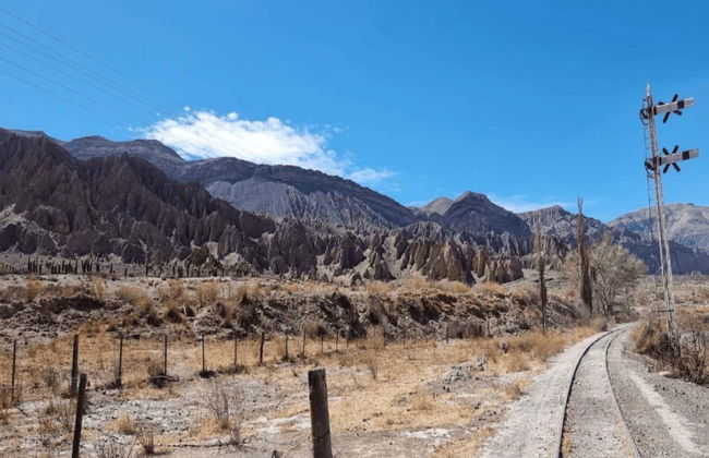 Day Trip to Quebrada del Toro + Santa Rosa de Tastil - Photo 5