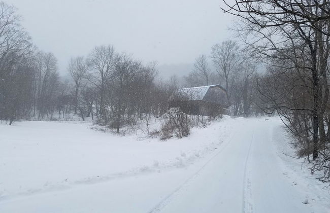 Catskill Retreat - Foto 51