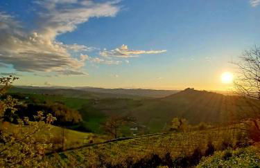 Il nido in collina Bertinoro - Foto 12