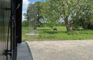 Converted Nissen Barn on beautiful farm - Foto 25