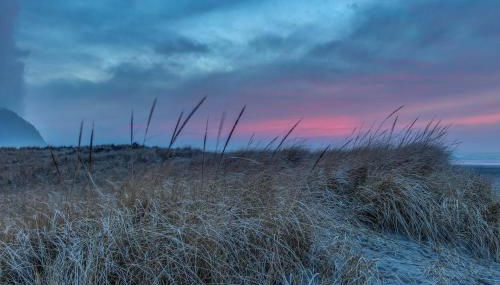 Seaside Cottage - Foto 3