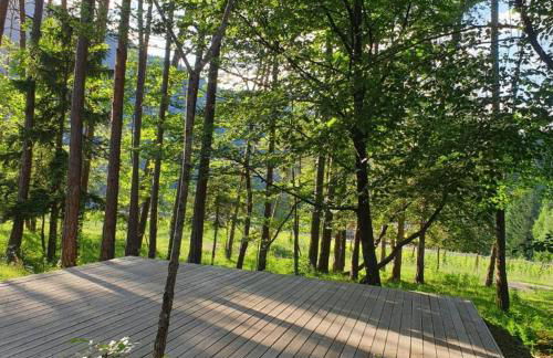 Bosc del Meneghì - Foto 70