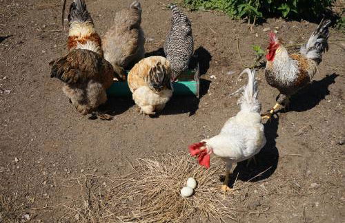 Gronewald's Mountain View Holidays - Foto 22