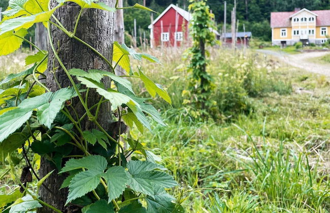 4 Star Holiday Home in Svangsta - Foto 21