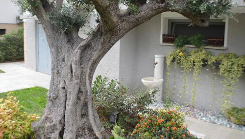 Ca' Olivo - Foto 4, Garden, Garden view