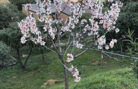 El Encinar de Carol - Foto 14