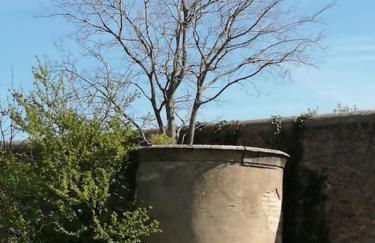 Le soleil d Eugènie appartement dans résidence avec Piscine commune près de Carcassonne - Foto 19