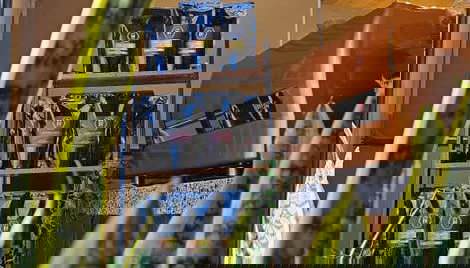 Coffee Workshop & Tasting in La Candelaria - Foto 4