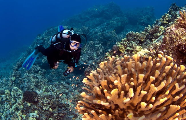Kaanapali Alii 456 in Kaanapali - Foto 46