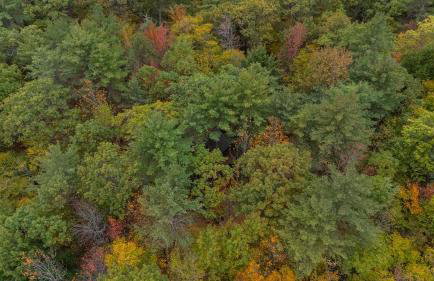 Tree House Rental Ideal for a Unique Getaway near Lake Sunapee in New Hampshire - Foto 18