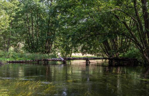 Domek Smerfna Chatka - Foto 15