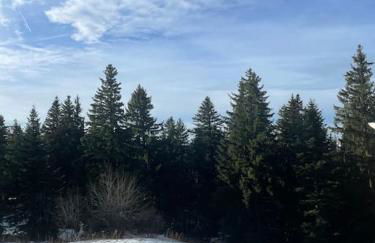 Chamrousse a 50m des pistes appart 4/6 - Foto 11