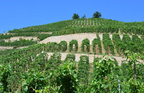 La Maison de ma Mère - Vue sur le Vignoble Saint-Joseph - Foto 4