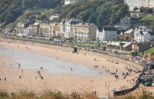 Large Cottage, Beach, Pubs Shops, Netflix, BBQ, Dog Friendly - Foto 35