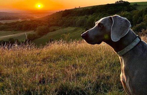 The Cabin, Roundabout Lane - Foto 42