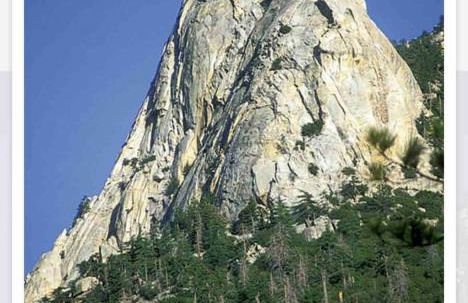 Blissfully Wild -with Hot Tub and pets are welcome - Foto 8