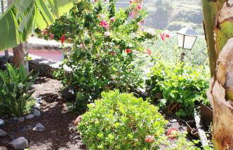 Casa Creativa - Foto 23