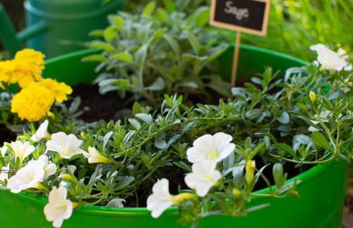 CA' GIALLA 2 - sul Lago di Lugano, Dog friendly, Terrazza e Parcheggio - - Foto 18