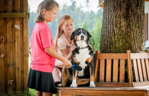 Hussnhof Farm Lodge - Foto 39