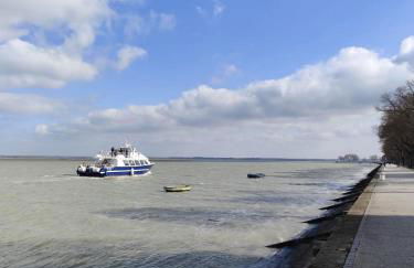 Les cigognes gites de la reserve - Foto 6