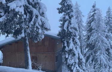 Le 1954 La Rosière - Foto 45
