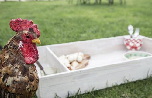 Agriturismo Masseria Cianciò - Foto 9