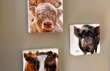 Dunroamin Apartment - Foto 48