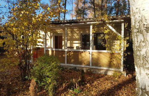 Gemutlicher Ferienbungalow am Felsensee bei Pretzien - Foto 10