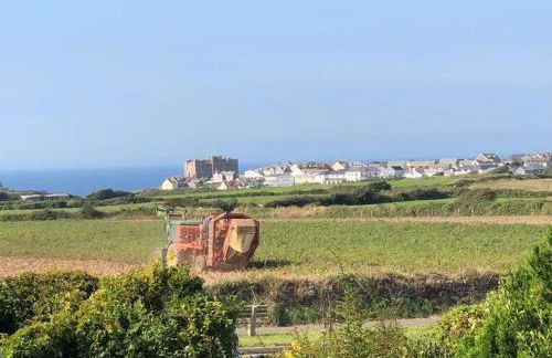 17th Century Traditional Tintagel Farmhouse with Hot Tub - Foto 22