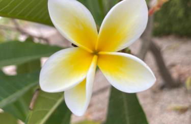 Villa Mi Marino - Foto 43