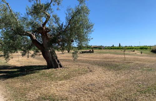 Resort Fonte Vulci - Foto 87