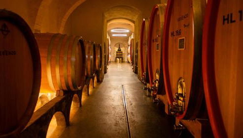 Agriturismo Borgo d'Asso - Photo 5