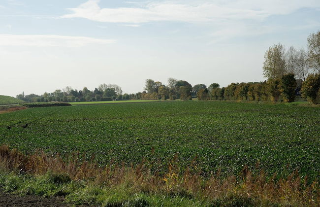 Chalet in Renesse Near Sandy Beaches - Foto 34