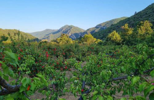 Camin'hôtes Gîte Spa Drôme "Lavande" - Photo 20