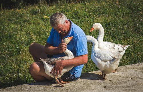 Apartments Marina - Photo 55