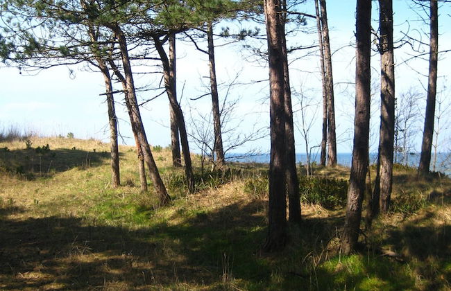 Pelikan Resort - Photo 22