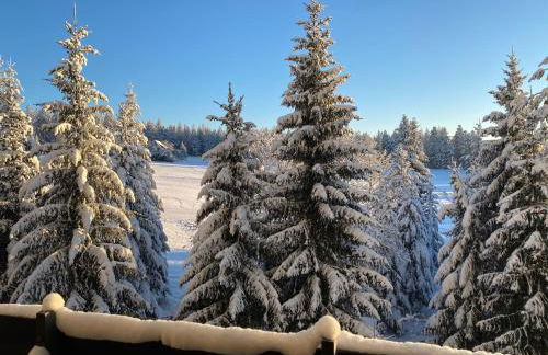 Schwarzwald Wohnung Kniebis - Foto 30