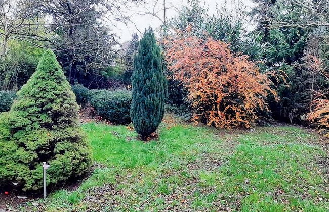 Eifel Garden Villa for Groups - Foto 35