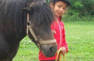 Landhaus op de Warft - Foto 8